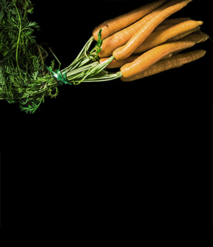 Каре из каракатиц и желтой моркови